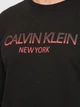 Свитшот на флисе мужской Calvin Klein Jeans 10835.1 S Черный - изображение 4