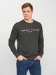 Свитшот на флисе мужской Tommy Hilfiger 10843.3 S Темно-серый - изображение 1