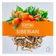 Чайний напій GreenWay TeaVitall Anyday "Siberian", 38 фільтр-пакетів (01588) - зображення 1
