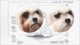 Сухой беззерновой корм для юниоров всех пород с лососем Nature's Protection Superior Care White Dogs Grain Free Junior, 1,5 кг (NPSC45671) - изображение 4