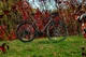 Велосипед турінговий Trek, 520 Disc,700С& amp;quot;, сірий, 2020 - зображення 2