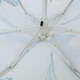 Жіноча парасолька Nex mini (#25115-2006) - зображення 6