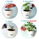 Подарочный набор GreenPet "Тучка" Янтарный огурчик Коктейльный - изображение 2