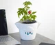 Подарочный набор GreenPet "Тучка" Рубиновый томат Черри - изображение 4