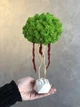 Дерево со стабилизированым мхом и амарантом MiNature Moss 30 см - изображение 1