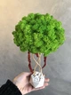 Дерево со стабилизированым мхом и амарантом MiNature Moss 30 см - изображение 3
