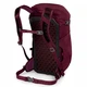 Рюкзак Osprey Skimmer 20 Plum Red 20 л 009.1923 - изображение 2