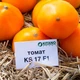 Семена томатов Kitano Seeds Нукси (кс 17, ks 17) f1 10 семян - изображение 1