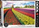 Пазл Eurographics Поле тюльпанов в Нидерландах 1000 элементов (6000-5326) (628136653268) - изображение 1