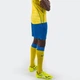 Шорты Joma Miami Blue 100785.700 L - изображение 5