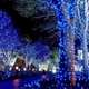 Гирлянда Уличная 100 LED 10 м светодиодная Синий - изображение 7