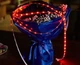 Светодиодная лента HOCO RGB 4m USB cool LED color light strip |4M, 20 RGB Mode, Remote|c пультом управления - зображення 9