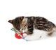 Игрушка для котов OutwardHound Petstages Kitty Chew Wheel - изображение 2