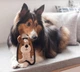 Игрушка для собак OutwardHound Invincibles Minis Puppy - изображение 2