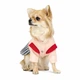 Костюм Pet Fashion Спейс для собак S Pet Fashion BGL-PF-895 - изображение 3