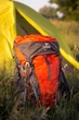 Рюкзак Tofine Pudu 38 L оранжевый - изображение 1