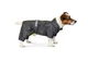 Комбінезон для середніх порід собак RAIN M Pet Fashion BGL-PF-1007 - зображення 4