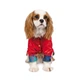 Ветровка для собак красная Pet Fashion AIR XXS Pet Fashion BGL-PF-1129 - изображение 3