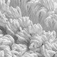 Моп 40см Microriccio Velcro мікрофібра TTS зелений - зображення 2