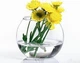 Ваза Flora Акваріум 100мл 1шт - зображення 1