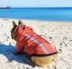Куртка для собак DogClub Sunny XXL Terracotta - зображення 2