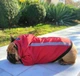 Куртка для собак DogClub Sunny XXL Terracotta - зображення 3