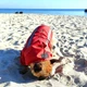Куртка для собак DogClub Sunny XXL Terracotta - зображення 4
