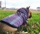 Куртка для собак DogClub Sunny XL Plum - изображение 2