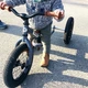 Комплект Трехколесный балансирующий велосипед Trybike серый (TBS-2-GRY+TBS-99-TK) (2000065887019) - изображение 11