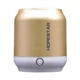 Портативная колонка Bluetooth Hopestar H8 Gold - изображение 1