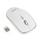 Миша Wireless Gembird MUSW-4B-01-W White USB - зображення 1