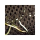 Підкладка Wacool Rainforest Plant Cotton XL 59х44 см WC-YZM001 для тераріума - зображення 4