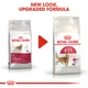 Сухой корм Royal Canin Fit для взрослых котов от 1 года бывающих на улице 10 кг (3182550702249) - изображение 4