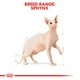 Сухой корм Royal Canin Sphynx Adult для котов породы сфинкс от 12 месяцев 10 кг - изображение 2
