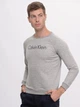 Світшот Calvin Klein Jeans 9830.2 L (48) Сірий - зображення 1