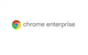 Google Chrome Enterprise Annual License - зображення 2