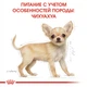Сухий корм Royal Canin Chihuahua Puppy для цуценят чихухуа Купуй 1,2кг+300г у подарунок Royal Canin - изображение 5
