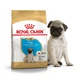 Сухой корм для собак Royal Canin Pug Puppy 500 г щенкам породы Мопс в возрасте до 10 месяцев - изображение 2