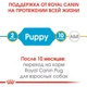 Сухой корм для собак Royal Canin Pug Puppy 500 г щенкам породы Мопс в возрасте до 10 месяцев - изображение 4
