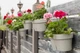 Горщик з автополивом Santino LATINA WINDOW BOX 6,7л. пісочний (JL 40 SND) - зображення 2