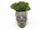 Бетонный горшок Marry Arti "SKULL З" со стабилизированным мхом 8,0х5,0x6,5см темно-серый - изображение 1