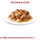 Royal Canin Mini Adult кусочки в соусе Влажный корм для взрослых собак мелких размеров весом взрослой собаки до 10 кг в возрасте от 10 месяцев до 12 лет Блок паучей 12 штук по 85 г - изображение 4