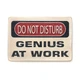 Дерев'яний постер Wood Posters "Do not disturb. Genius at work" (A2 формат, фанера) (pvh2117) - зображення 1