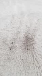 Килим Rabbit grey 160x160 круглий Бельгія - изображение 3