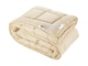 Одеяло DOTINEM CASSIA GRANDIS микрофибра зимнее 175х210 см (211379-3) - изображение 1