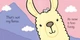 Дитяча книга That`s Not My Llama (9781474921640) - зображення 2