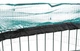 Клетка для грызунов Trixie Natura металлическая с порошковым покрытием 57см х 150см (TX-62411) - изображение 4