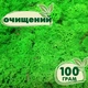 Очищенный стабилизированный мох ягель Nordic moss Зеленый травяной светлый 100 грамм - изображение 1