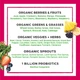Orgain Organic Superfoods+Probiotics 280 г (4384304081) - зображення 5