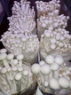 Свежие Грибы Шимеджи упаковка 200г (Hypsizygus marmoreus) - изображение 4